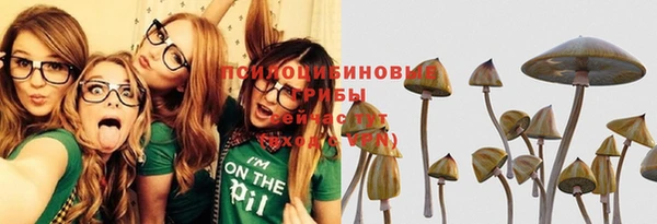 МДПВ Алзамай