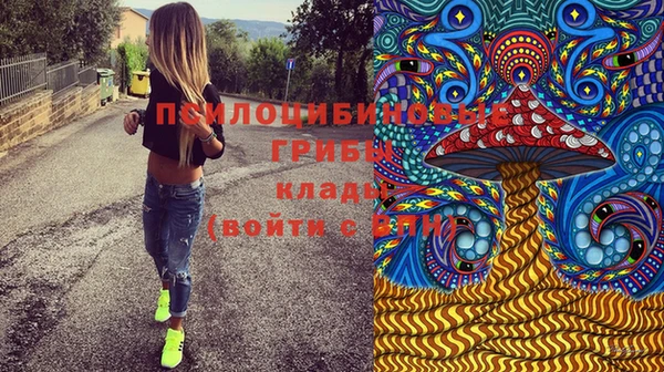 МДПВ Алзамай