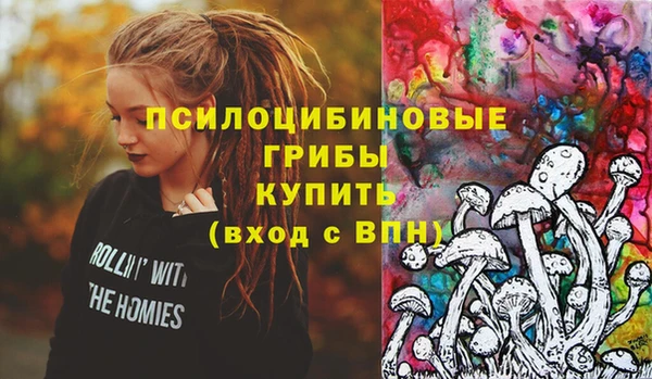 МДПВ Алзамай