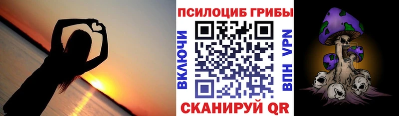 Галлюциногенные грибы Psilocybine cubensis  Азов 